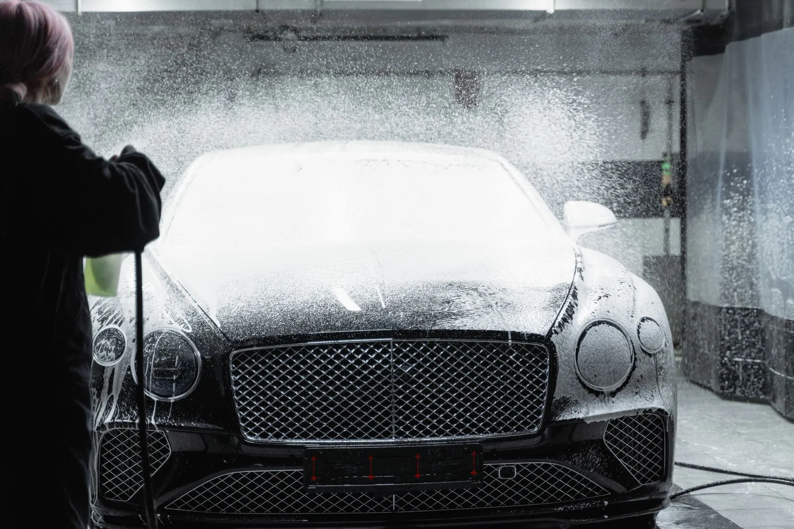 Professional detailing